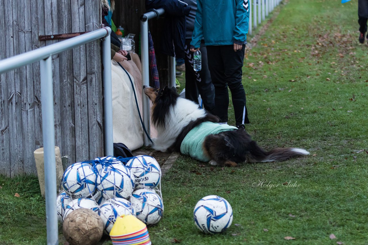 Bild 316 - Frauen SV Henstedt Ulzburg II - TSV Russee : Ergebnis: 5:0